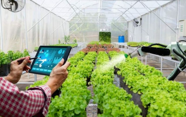 4 Manfaat Teknologi dalam Bidang Pertanian